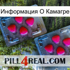 Информация О Камагре 14